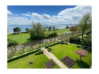 gepflegter Garten vor dem Haus