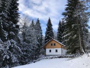 Ferienhaus Jagdhaus Schmelzhütte