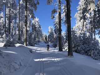 Langlauf