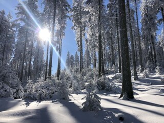 Winterlandschaft