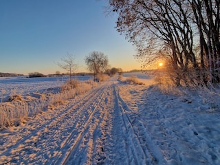 Sonnenuntergang im Deichvorland
