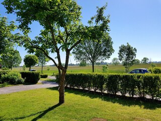 Frühling mit beschnittenem Apfelbaum