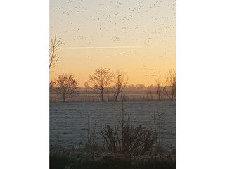 Aussicht am frühen Morgen im Dezember.