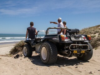 Beach Buggy Fynbos Safari