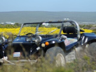 Viel Spass im Beach Buggy