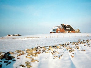 Ferienwohnung im Gästehaus Trutz-Blanke-Hans - Hallig Langeneß - image1