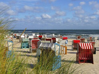 Strand Kölpinsee