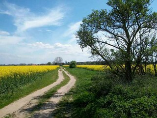 Radwege auf Usedom