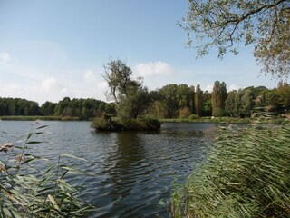 Die Schwaneninsel im Kölpinsee