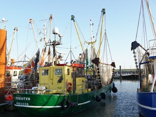 Im Hafen