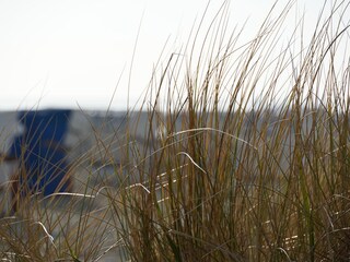 Am Strand