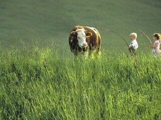 Kinder mit Kuh (c) Archiv TVB Kitzbüheler Alpen