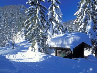 Stadl im Winter (c) Albin Niederstrasser