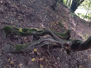 Vakantiehuis Extertal Omgeving 19