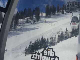 Appartamento Bad Mitterndorf Registrazione all'aperto 4