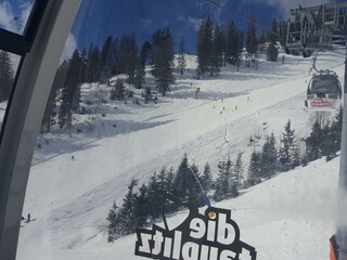 Appartamento Bad Mitterndorf Caratteristiche 34