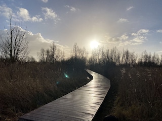 auf Richtung Hunderunde