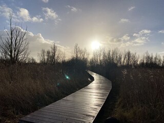 Vakantiehuis Makkum Omgeving 23
