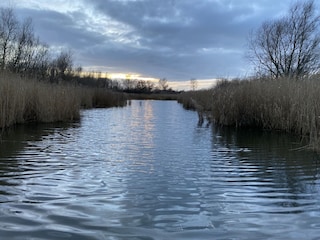 Impressionen Hunderunde