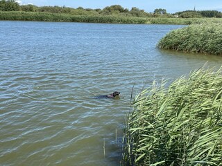 Casa per le vacanze Makkum Ambiente 29