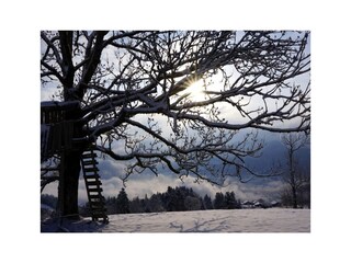 Appartamento per vacanze Schwarzenberg in Vorarlberg Ambiente 27