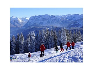 Appartamento per vacanze Schwarzenberg in Vorarlberg Ambiente 31