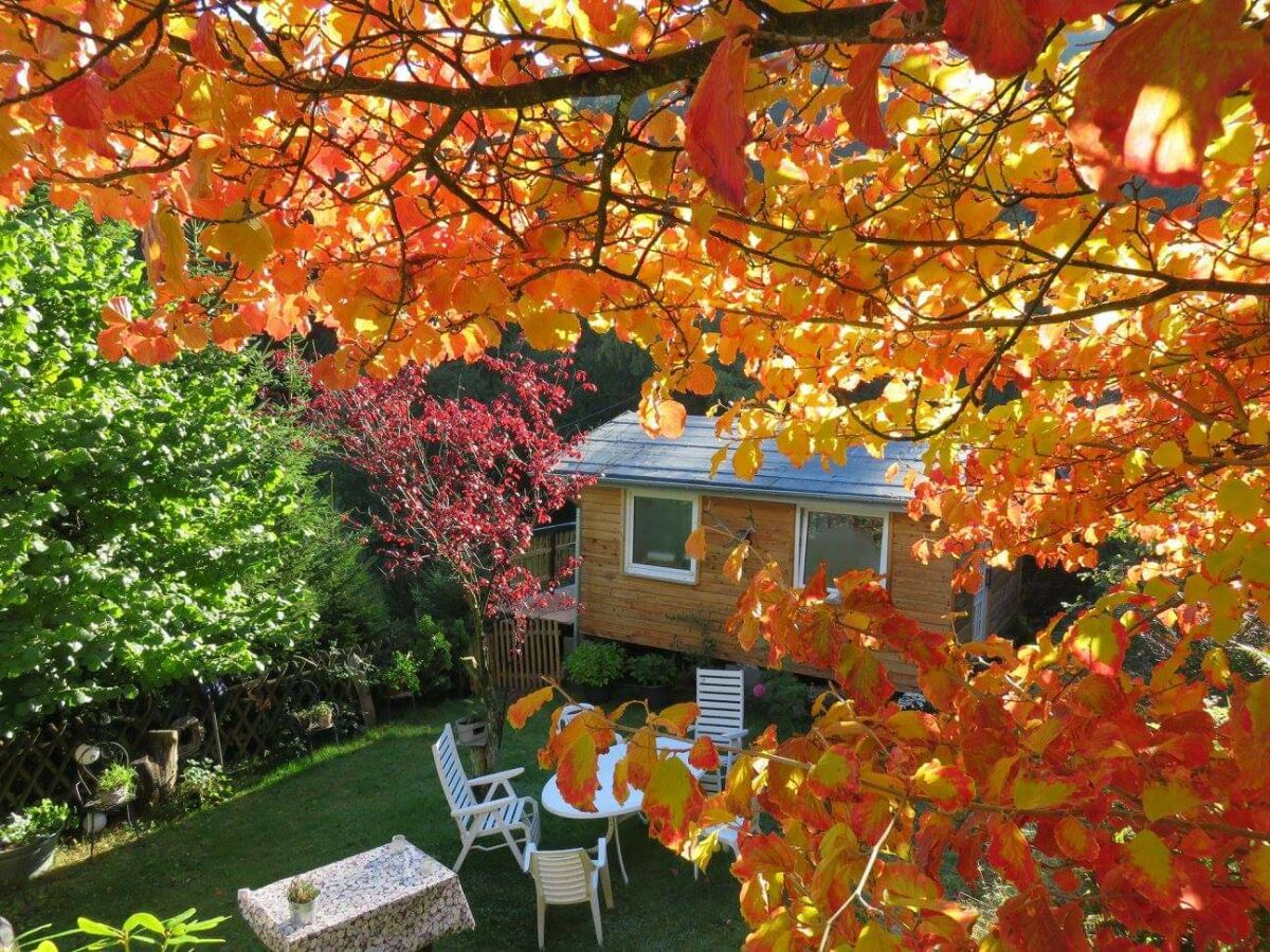 Blick auf die Gartenhütte