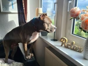 Ferienwohnung Dorfliebe Dörnberg