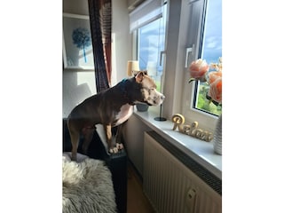 Ferienwohnung Bestwig Ausstattung 1