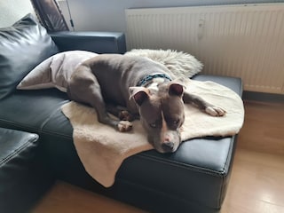 Ferienwohnung Bestwig Ausstattung 18