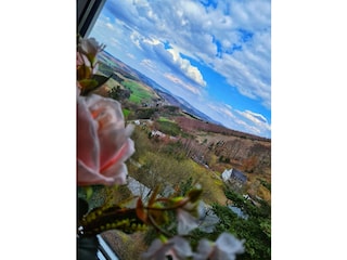 Ausblick aus dem Wohnzimmerfenster