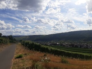 Neumagen Panorama