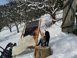 in front of the chalet - cat included