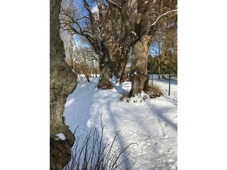 Ferienhaus Warin Umgebung 18