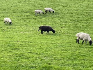 Landschaft