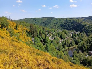 Vakantiehuis La Roche-en-Ardenne Omgeving 39