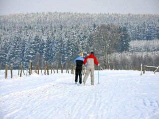 Ferienhaus La Roche-en-Ardenne Umgebung 38