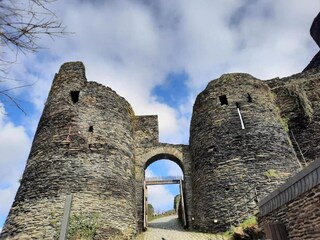 Vakantiehuis La Roche-en-Ardenne Omgeving 19