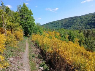 Maison de vacances La Roche-en-Ardenne Environnement 18