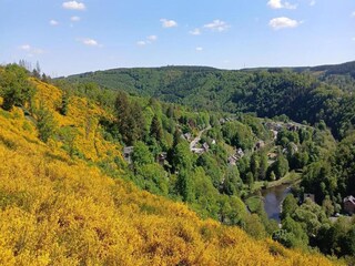 Maison de vacances La Roche-en-Ardenne Environnement 37