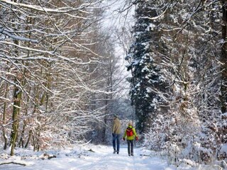 Maison de vacances La Roche-en-Ardenne Environnement 40
