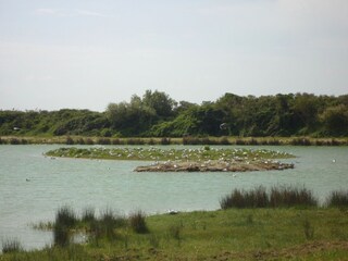 Ferienhaus Noyelles-sur-Mer Umgebung 26