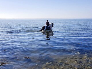 Ferienhaus Bogense  46