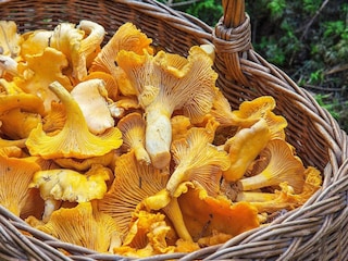 Ferienhaus Järvsö  5