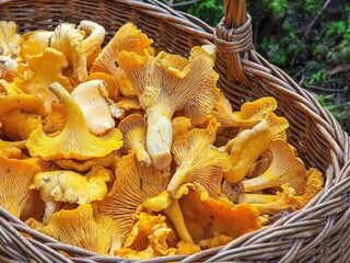 Vakantiehuis Järvsö  7