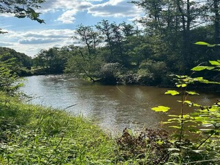 Maison de vacances Barvaux-sur-Ourthe Environnement 12