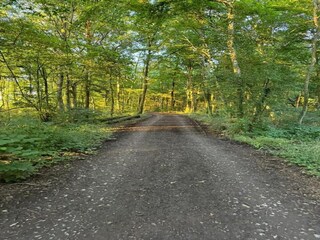 Vakantiehuis Barvaux-sur-Ourthe Omgeving 28