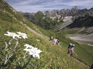 Holiday apartment Bad Hindelang Environment 32