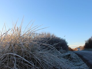 Bungalow Callantsoog Omgeving 19