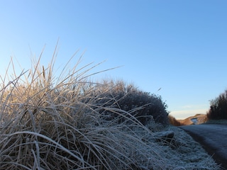 Bungalow Callantsoog Omgeving 21